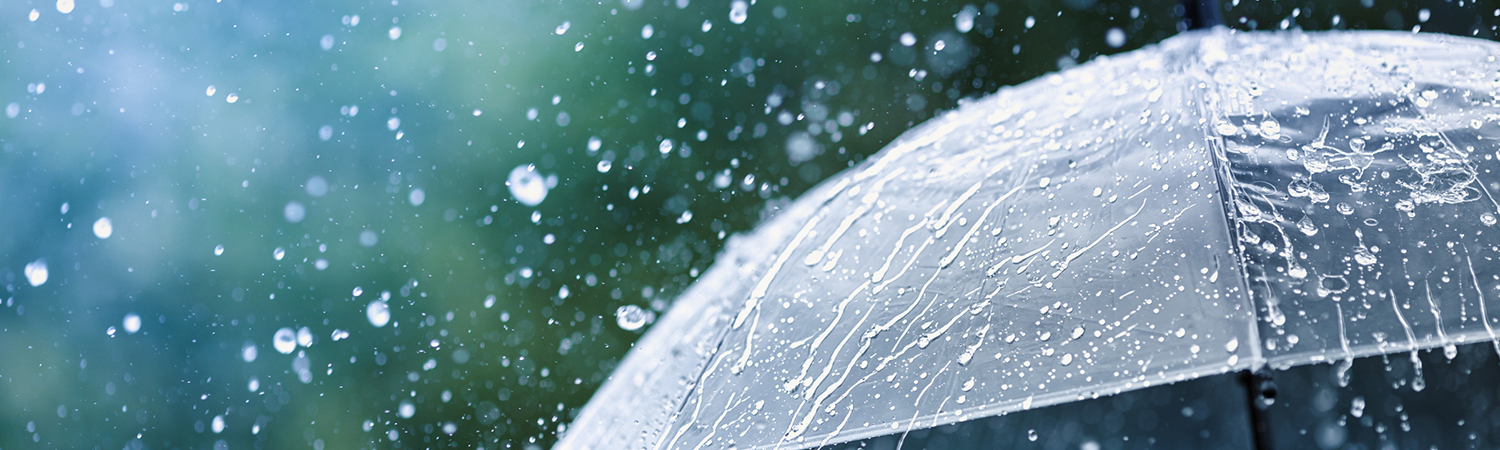 Georgia Umbrella Insurance Coverage